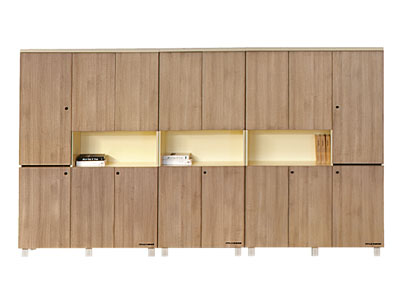 板式組合文件柜 資料柜 收藏儲物柜 書柜 組合檔案柜 板式組合文件柜 資料柜 收藏儲物柜 書柜 組合檔案柜