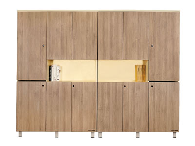 辦公家具 辦公柜 文件柜 組合文件柜 資料柜 檔案柜 展示柜